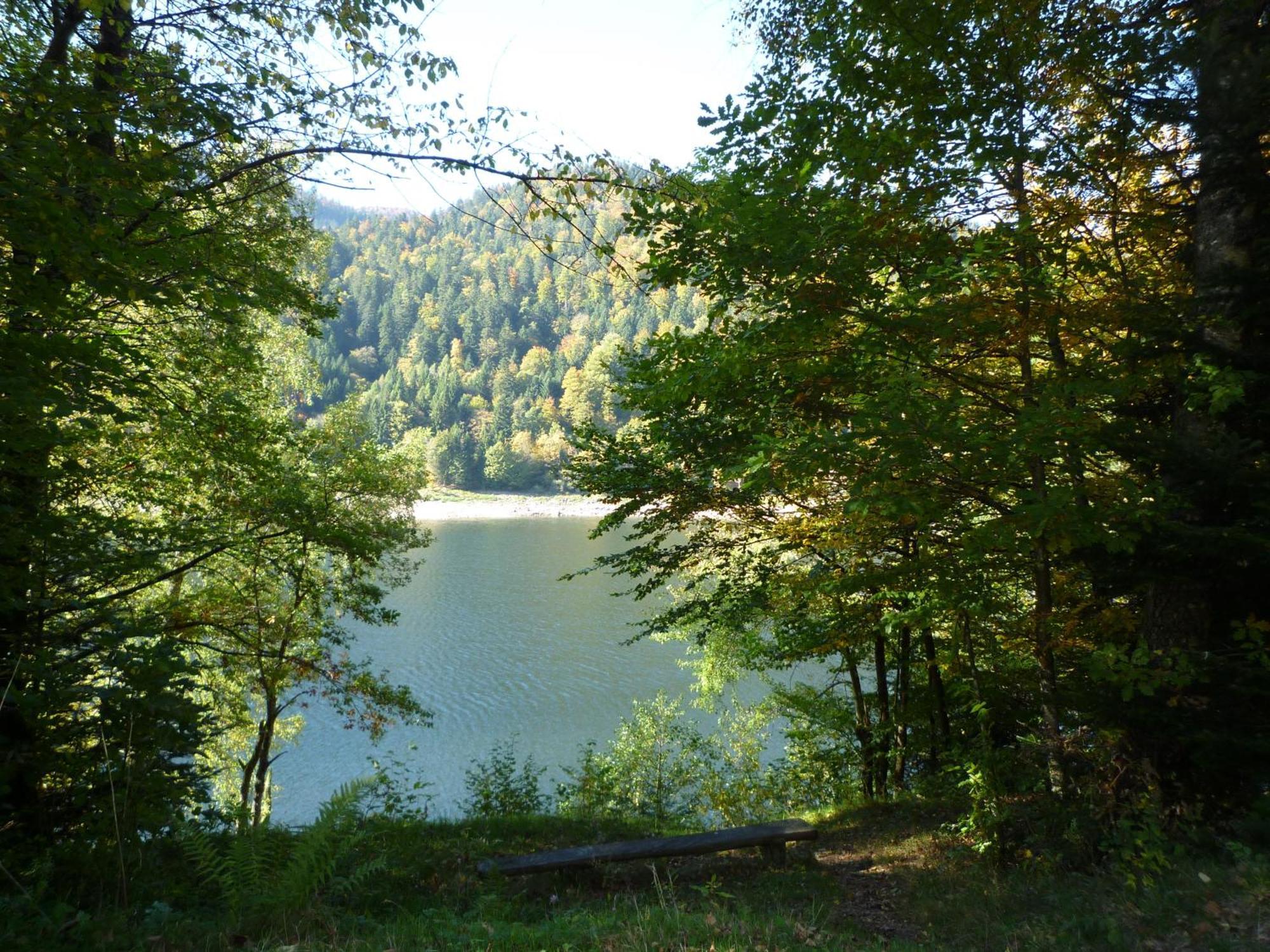 Gite La Charmaie Husseren-Wesserling Esterno foto