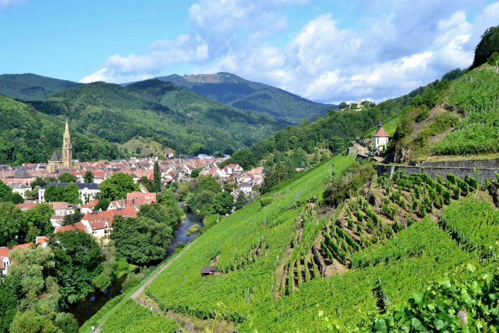 Gite La Charmaie Husseren-Wesserling Esterno foto